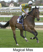 r6magicalmiss3.jpg (14107 bytes)