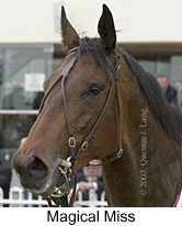 r6magicalmiss4.jpg (10051 bytes)