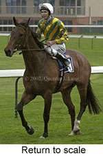 r6rtosc.jpg (12601 bytes)