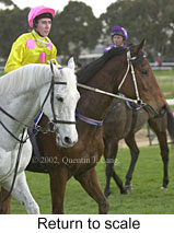 r7rtosc.jpg (13483 bytes)