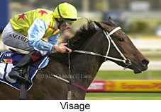 r8visage.jpg (13973 bytes)