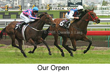 Our Orpen (15498 bytes)