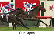 Our Orpen (15308 bytes)