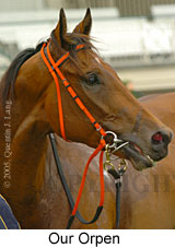 Our Orpen (12484 bytes)