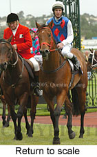 Return to scale (15361 bytes)