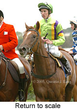 Return to scale (14637 bytes)