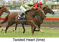 Twisted Heart (16165 bytes)