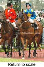 Return to scale (18004 bytes)