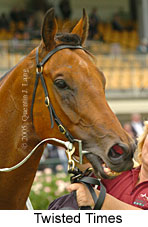 Twisted Times (13540 bytes)