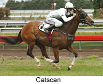 Catscan (15005 bytes)