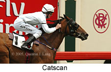 Catscan (13495 bytes)