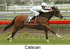 Catscan (14777 bytes)