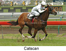 Catscan (15995 bytes)