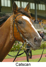 Catscan (13495 bytes)