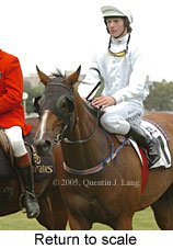 Return to scale (12603 bytes)