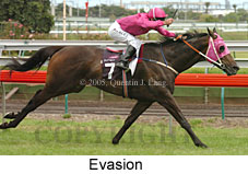 Evasion (15429 bytes)