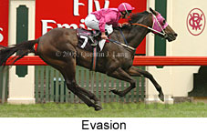 Evasion (14435 bytes)