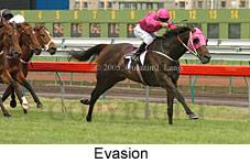 Evasion (15125 bytes)