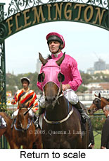 Return to scale (16011 bytes)