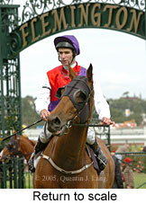 Return to scale (15983 bytes)