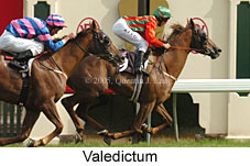 Valedictum (17402 bytes)