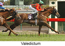 Valedictum (17402 bytes)