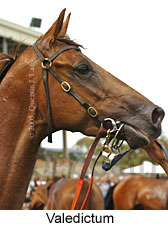 Valedictum (17402 bytes)