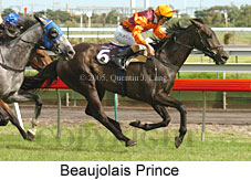 Beaujolais Prince (17887 bytes)