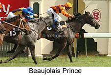 Beaujolais Prince (15882 bytes)