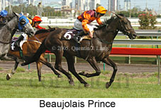 Beaujolais Prince (17202 bytes)