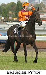 Beaujolais Prince (15046 bytes)