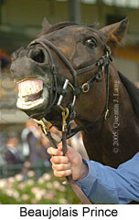 Beaujolais Prince (13103 bytes)