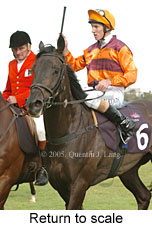 Return to scale (14070 bytes)