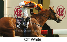 Off White (13454 bytes)