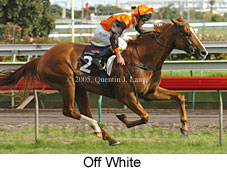 Off White (17754 bytes)