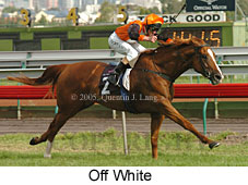 Off White (16938 bytes)