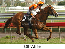 Off White (17412 bytes)