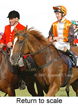 Return to scale (15076 bytes)