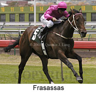 Frasassas (15599 bytes)