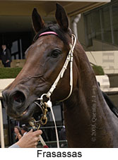 Frasassas (12369 bytes)