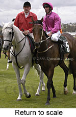 Return to scale (14220 bytes)