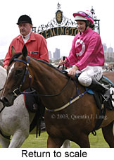 Return to scale (14733 bytes)