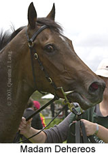 Madam Dehereos (10818 bytes)