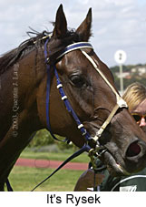 It's Rysek (13209 bytes)