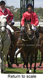 Return to scale (16008 bytes)