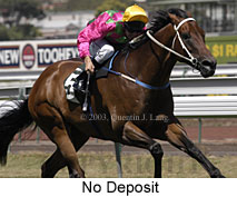 No Deposit (15013 bytes)