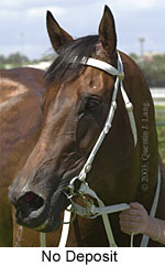 No Deposit (11765 bytes)