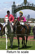 Return to scale (15857 bytes)