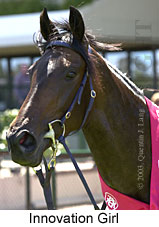 Innovation Girl (13213 bytes)