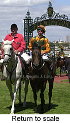 Return to scale (15249 bytes)